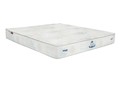 Nệm cao su cao cấp TWG Royale Latex 23 cm