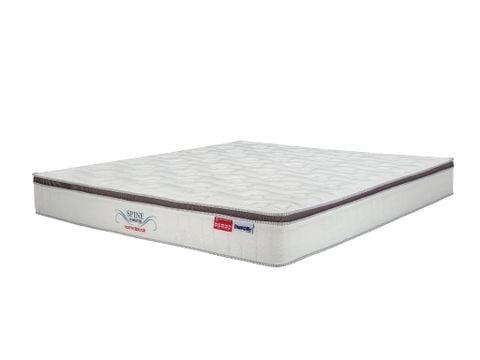 Nệm lò xo cao cấp Spine O Master 26 cm