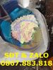  Calcium Chloride (CaCl₂) - Canxi Clorua 