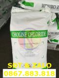  Choline Chloride (C5H14ClNO) - Cholin Clorua 