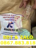  Ferrous Sulfate (FeSO4) - Sắt Sulfat 