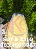  Gelatin Bloom 100 - Keo Gelatin 100 Bloom 