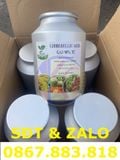  Gibberellic Acid (C19H22O6) - Axit Gibberellic 