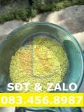  Lưu Huỳnh (S) - Sulfur 