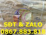  Zinc Phosphate (Zn3(PO4)2) - Kẽm Phosphat 