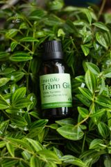 Tinh dầu tràm gió nguyên chất