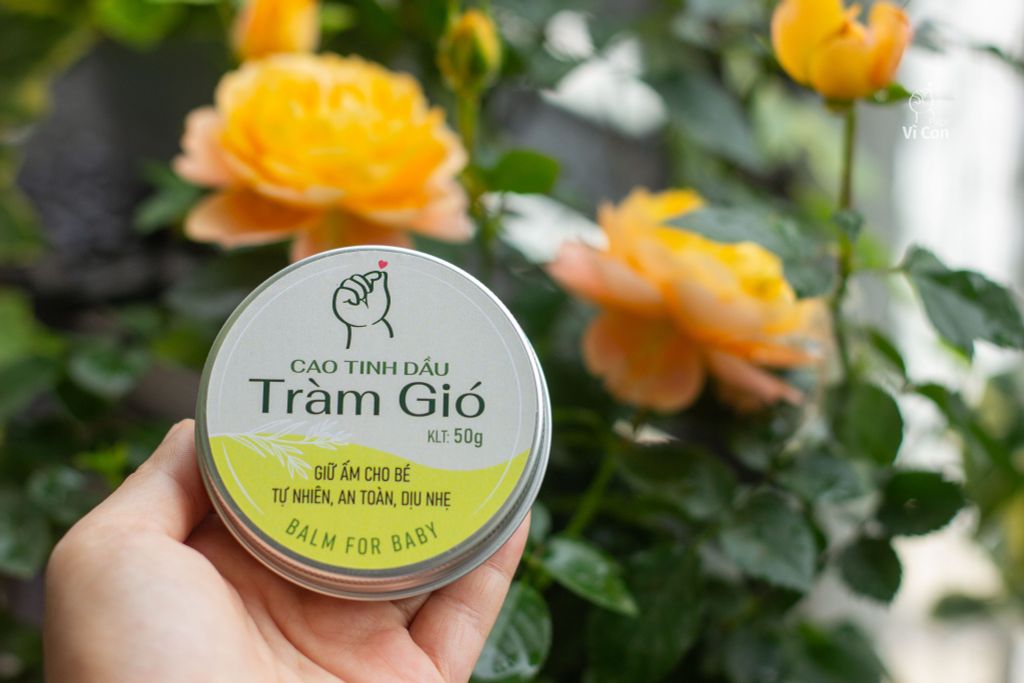 Cao Ấm - Cao sáp tinh dầu tràm gió