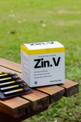 Kẽm Zin.V