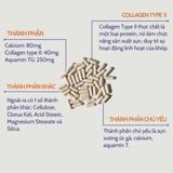  Viên Uống Tăng Dịch Nhầy Cho Khớp, Hỗ Trợ Sức Khỏe Xương Now UC-II Collagen Type II Joint Health 