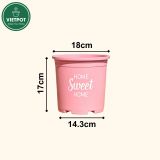  Chậu nhựa trồng cây VIETPOT, màu hồng, hoa văn Sweet Home, trồng hoa kiểng lá, để nhà, sân vườn. 