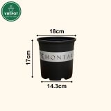  Chậu nhựa trồng cây VIETPOT, màu đen MONTARIO, trồng hoa kiểng, hoa hồng, để ban công, sân vườn. 
