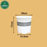  Chậu Nhựa Trồng Cây VIETPOT, màu trắng MONTARIO, kiểng lá, hoa hồng, để bàn, ban công,sân vườn 