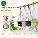  Chậu nhựa treo tự tưới Happy Day, VIETPOT, size 19x15cm, hiện đại, decor ban công, sân vườn, nhà cửa 