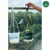  Chậu nhựa treo tự tưới Happy Day, VIETPOT, size 19x15cm, hiện đại, decor ban công, sân vườn, nhà cửa 