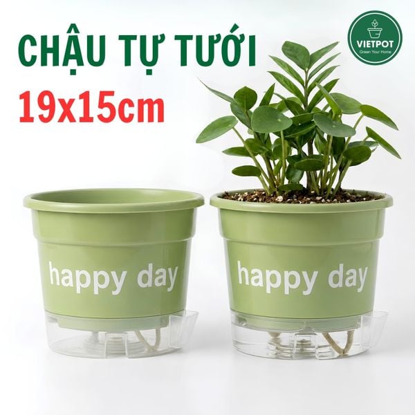  Chậu tự tưới Happy Day, VIETPOT, size 19x15cm, thông minh, trang trí nhà cửa, ban công, sân vườn. 