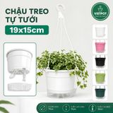  Chậu treo tự tưới Trơn, size 19x15cm, VIETPOT, cho cây kiểng, hiện đại, decor ban công, sân vườn. 