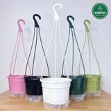  Chậu treo tự tưới Trơn, size 19x15cm, VIETPOT, cho cây kiểng, hiện đại, decor ban công, sân vườn. 