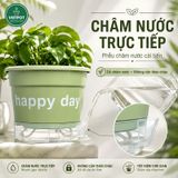  Chậu tự tưới Happy Day, VIETPOT, size 19x15cm, thông minh, trang trí nhà cửa, ban công, sân vườn. 