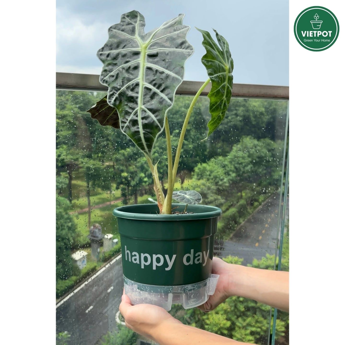  Chậu tự tưới Happy Day, VIETPOT, size 19x15cm, thông minh, trang trí nhà cửa, ban công, sân vườn. 