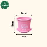  Chậu nhựa trồng cây VIETPOT, size 16x14cm, Sweet Home, hoa hồng, kiểng lá, để bàn, sân vườn. 