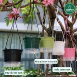  Chậu treo tự tưới Trơn, size 19x15cm, VIETPOT, cho cây kiểng, hiện đại, decor ban công, sân vườn. 