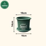  Chậu nhựa trồng cây VIETPOT, size 16x14cm, Sweet Home, hoa hồng, kiểng lá, để bàn, sân vườn. 