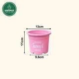  Chậu nhựa trồng cây VIETPOT, size nhỏ 13x11cm, Sweet Home, trồng hoa kiểng, để sân vườn, bàn. 