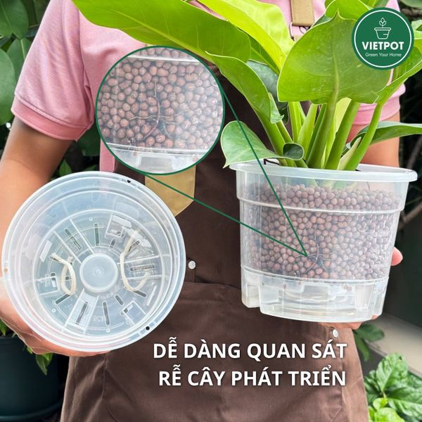  Chậu tự tưới trong suốt VIETPOT, size 19x15cm, thông minh, trang trí nhà cửa, ban công, sân vườn. 