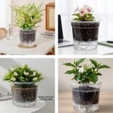  Chậu tự tưới trong suốt VIETPOT, size 19x15cm, thông minh, trang trí nhà cửa, ban công, sân vườn. 