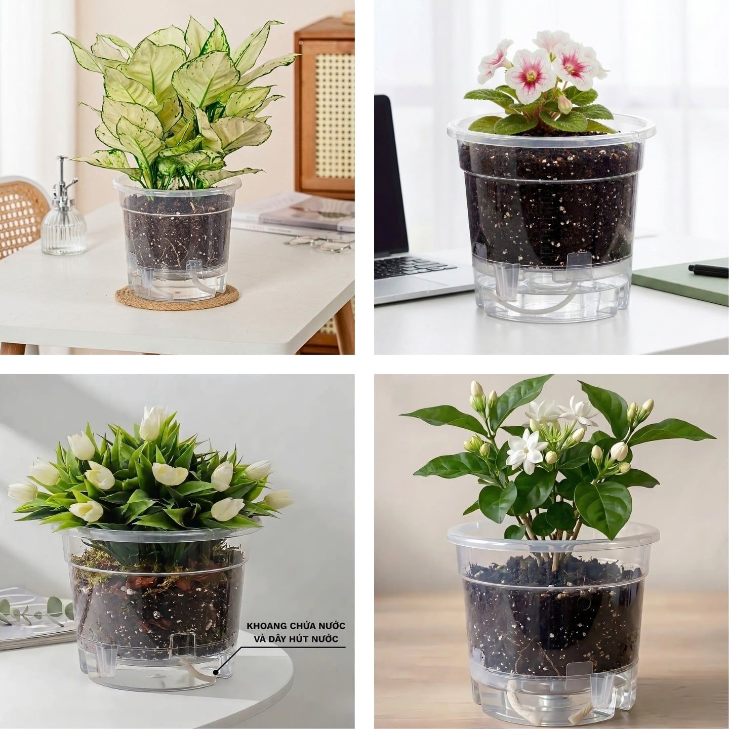  Chậu tự tưới trong suốt VIETPOT, size 19x15cm, thông minh, trang trí nhà cửa, ban công, sân vườn. 