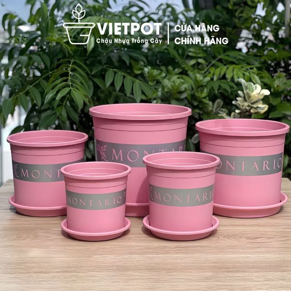  Chậu nhựa trồng cây VIETPOT, màu hồng MONTARIO, trồng hoa kiểng, hoa hồng, ban công, sân vườn 