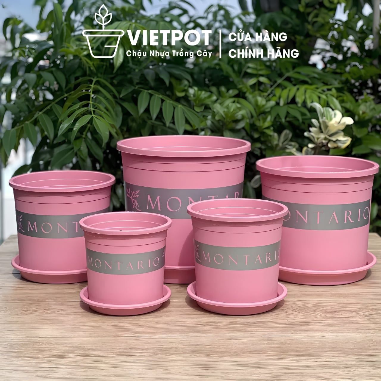  Chậu nhựa trồng cây VIETPOT, màu hồng MONTARIO, trồng hoa kiểng, hoa hồng, ban công, sân vườn 