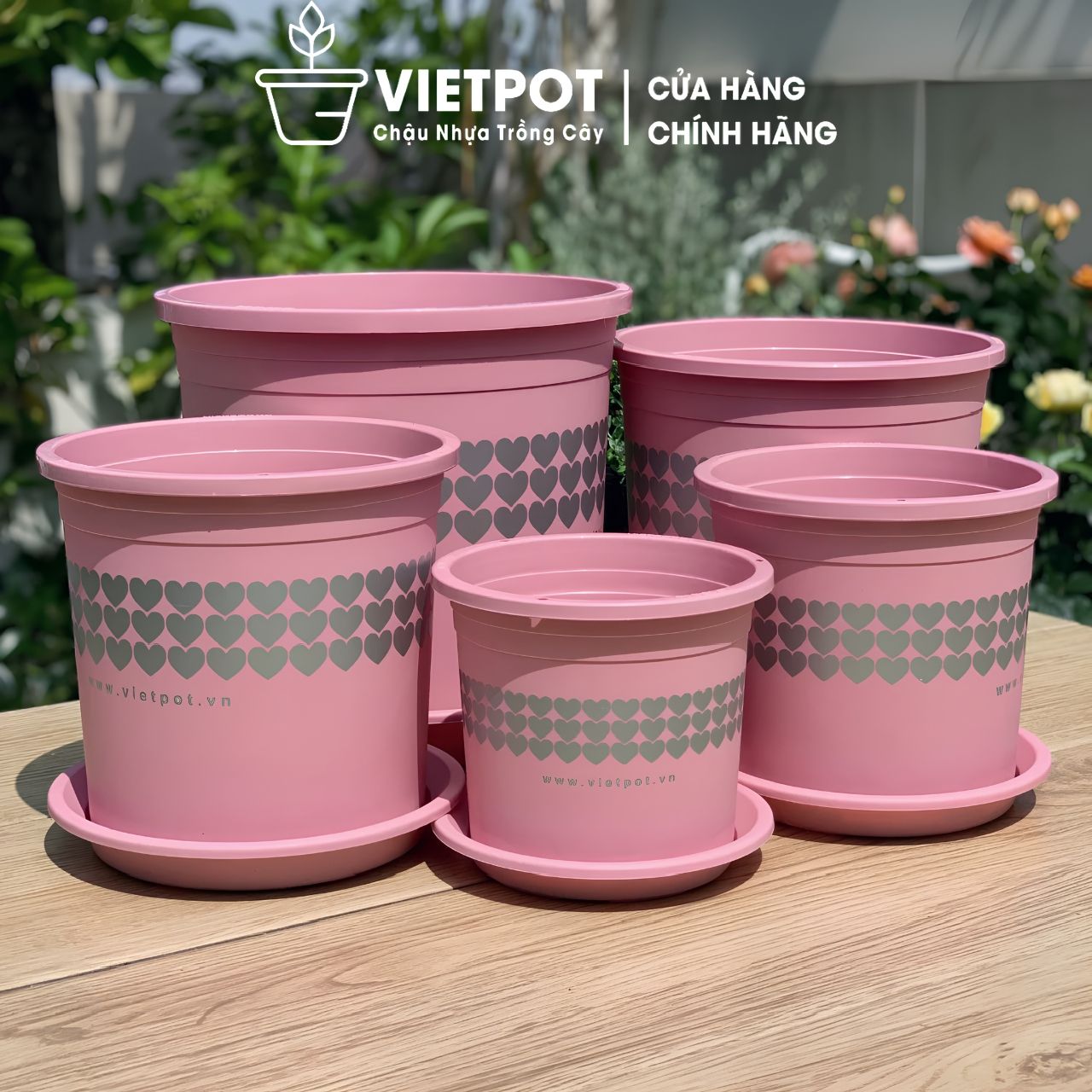  Chậu nhựa trồng cây VIETPOT, màu hồng tim, trồng kiểng lá, hoa hồng, trang trí ban công, sân vườn. 