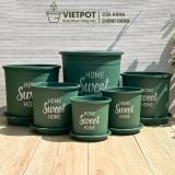  Chậu nhựa trồng cây VIETPOT, màu xanh, hoa văn Sweet Home, trồng hoa kiểng lá, để nhà, sân vườn. 
