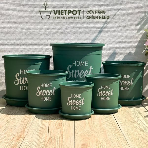  Chậu nhựa trồng cây VIETPOT, màu xanh, hoa văn Sweet Home, trồng hoa kiểng lá, để nhà, sân vườn. 