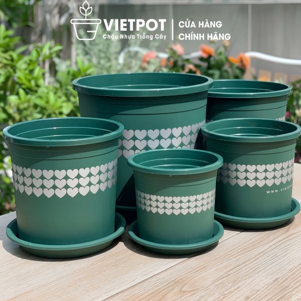  Chậu nhựa trồng cây VIETPOT, màu xanh tim, trồng kiểng lá, hoa hồng, trang trí ban công, sân vườn. 
