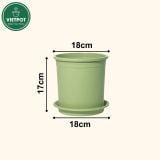  Chậu nhựa trồng cây VIETPOT, xanh Mint Trơn, trồng kiểng lá hoa hồng, để bàn, ban công sân vườn. 