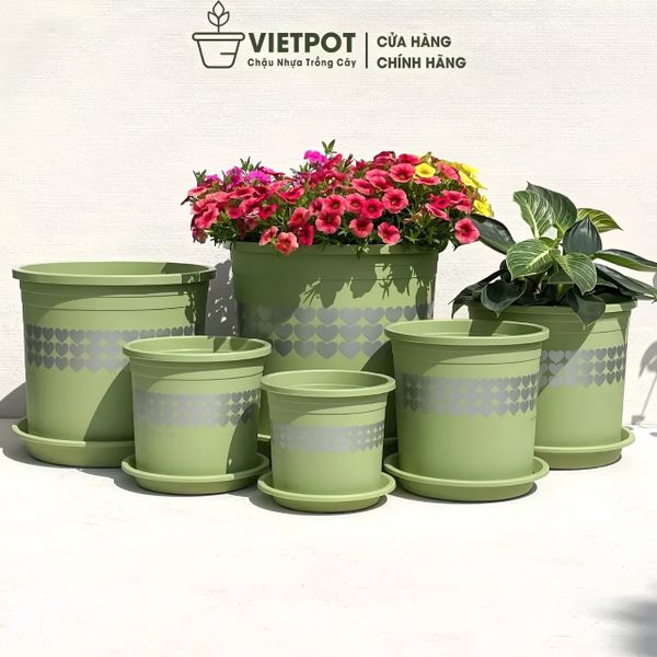  Chậu nhựa trồng cây VIETPOT, xanh Mint hoa văn tim, kiểng lá, hoa hồng, để bàn,ban công sân vườn. 