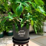  Chậu nhựa trồng cây VIETPOT, màu đen, hoa văn Sweet Home, trồng hoa kiểng lá, để nhà, sân vườn. 