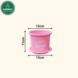  Chậu nhựa trồng cây VIETPOT, size nhỏ 13x11cm, Sweet Home, trồng hoa kiểng, để sân vườn, bàn. 