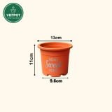  Chậu nhựa trồng cây VIETPOT, size nhỏ 13x11cm, Sweet Home, trồng hoa kiểng, để sân vườn, bàn. 
