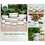  Chậu nhựa trồng cây VIETPOT, màu Trắng Tim, trồng kiểng lá, hoa hồng, trang trí ban công, sân vườn. 