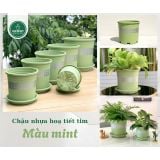  Chậu nhựa trồng cây VIETPOT, xanh Mint hoa văn tim, kiểng lá, hoa hồng, để bàn,ban công sân vườn. 