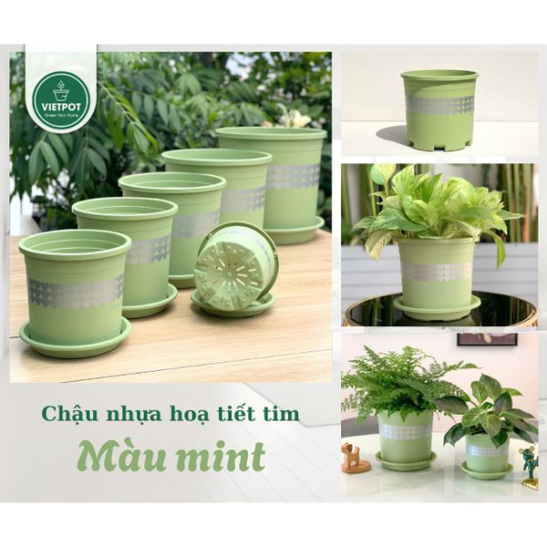  Chậu nhựa trồng cây VIETPOT, xanh Mint hoa văn tim, kiểng lá, hoa hồng, để bàn,ban công sân vườn. 
