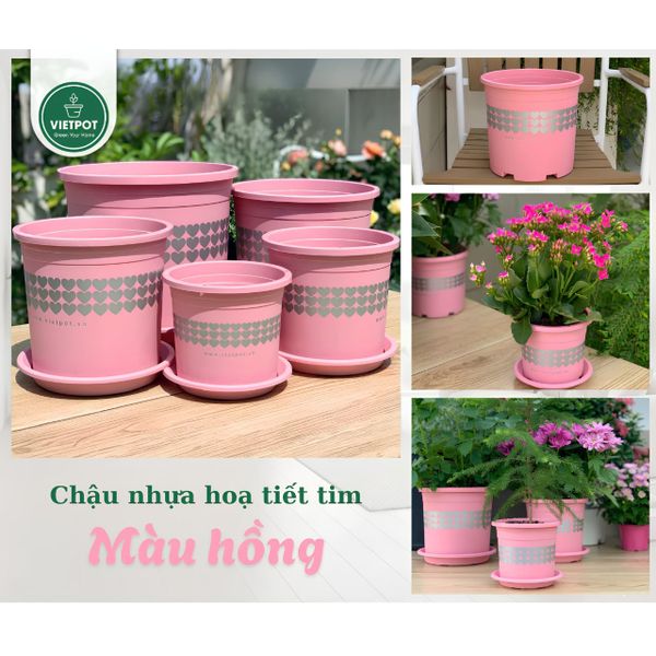  Chậu nhựa trồng cây VIETPOT, màu hồng tim, trồng kiểng lá, hoa hồng, trang trí ban công, sân vườn. 