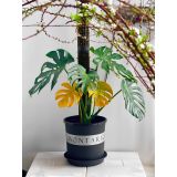  Chậu nhựa trồng cây VIETPOT, màu đen MONTARIO, trồng hoa kiểng, hoa hồng, để ban công, sân vườn. 