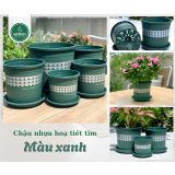  Chậu nhựa trồng cây VIETPOT, màu xanh tim, trồng kiểng lá, hoa hồng, trang trí ban công, sân vườn. 