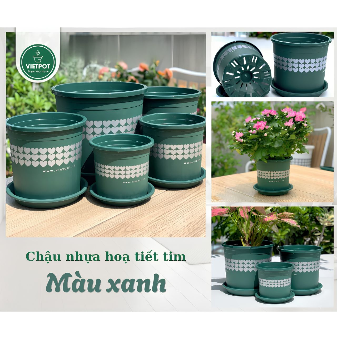  Chậu nhựa trồng cây VIETPOT, màu xanh tim, trồng kiểng lá, hoa hồng, trang trí ban công, sân vườn. 