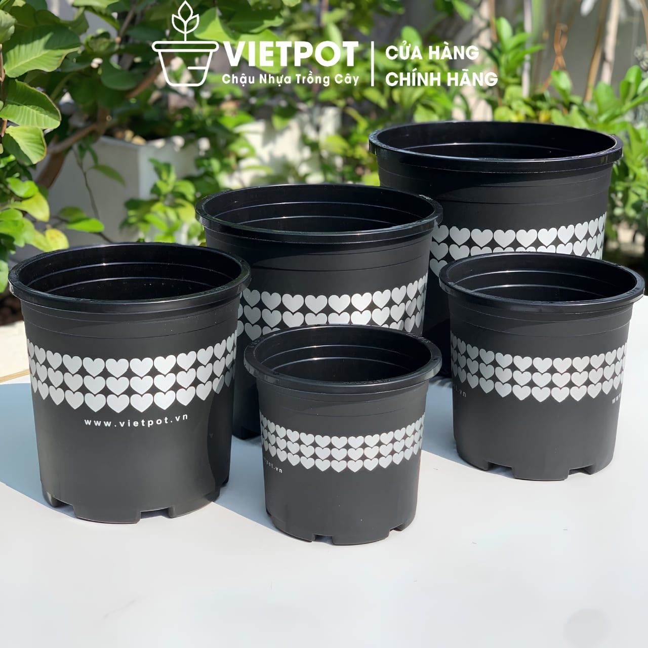  Chậu nhựa trồng cây VIETPOT, màu Đen Tim, trồng hoa kiểng, trang trí ban công, sân vườn, sân thượng 