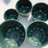  Chậu nhựa trồng cây VIETPOT, màu xanh, hoa văn Sweet Home, trồng hoa kiểng lá, để nhà, sân vườn. 